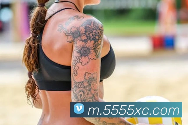 杏彩体育APP 封面图